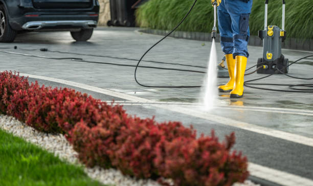 Trusted Loyola, CA Pressure Washing Experts